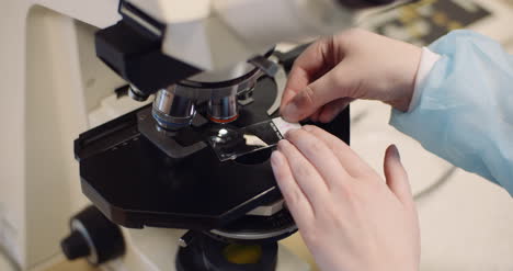 scientist examining bacteria under microscope at laboratory 9