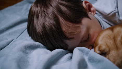 child and golden retriever sleeping peacefully together