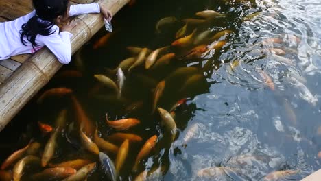 fish farming in artificial ponds