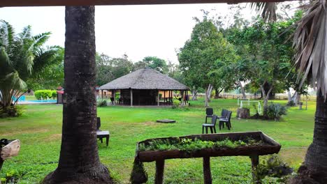 A charming outdoor lodge nestled in the lush tropical greenery of Apure, Venezuela
