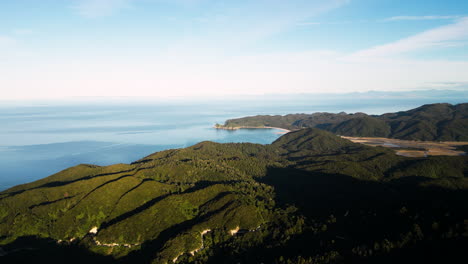 drone vuela sobre verdes colinas exuberantes con bosque de árboles verdes naturales en el parque nacional abel tasman nueva zelanda, vista aérea de paisajes marinos impresionantes