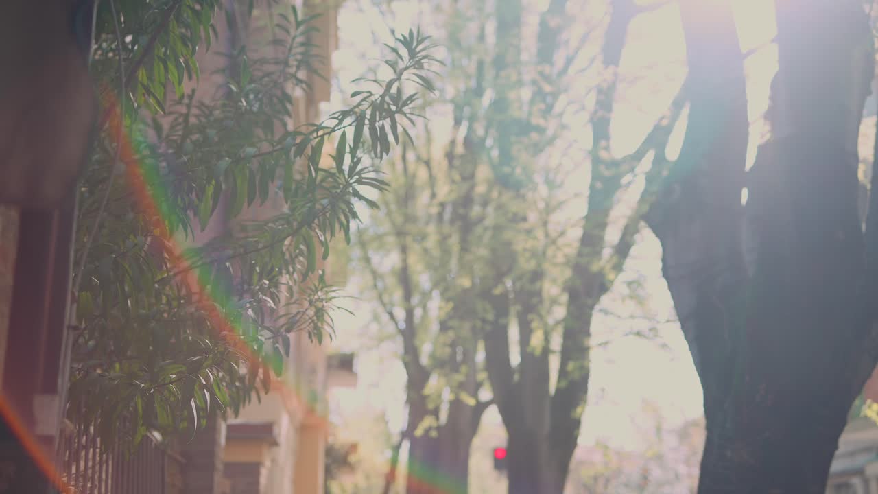 City Street Scene with Trees and Buildings