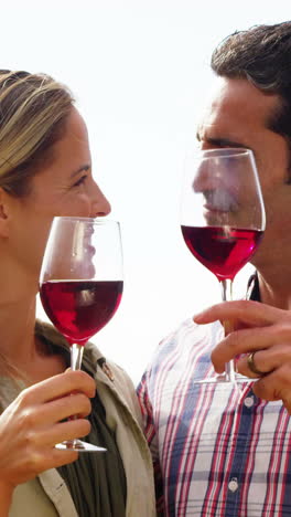 pareja feliz brindando un vaso de vino tinto en el campo