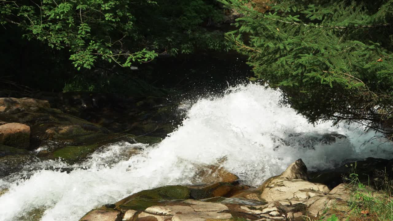corriente de río rápido corriendo sobre rocas en el bosque durante el día soleado de verano