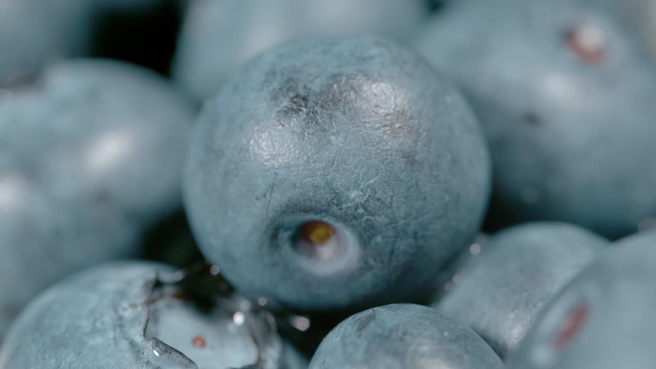 매크로, 도프: 집에서 재배한 블루베리로 가득 찬 바구니의 매우 상세한 입니다.