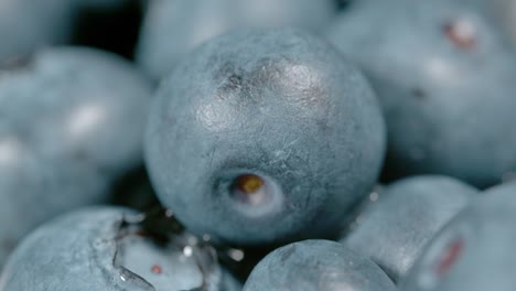 macro, dof: una toma muy detallada de una canasta llena de arándanos de cultivo casero.