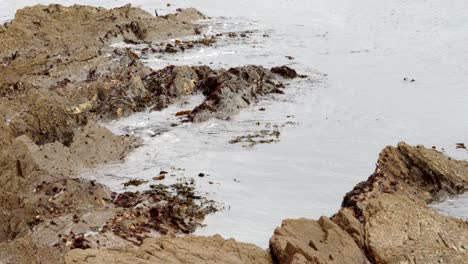 angled shot of waves, lapping on jagged, seaweed rocks