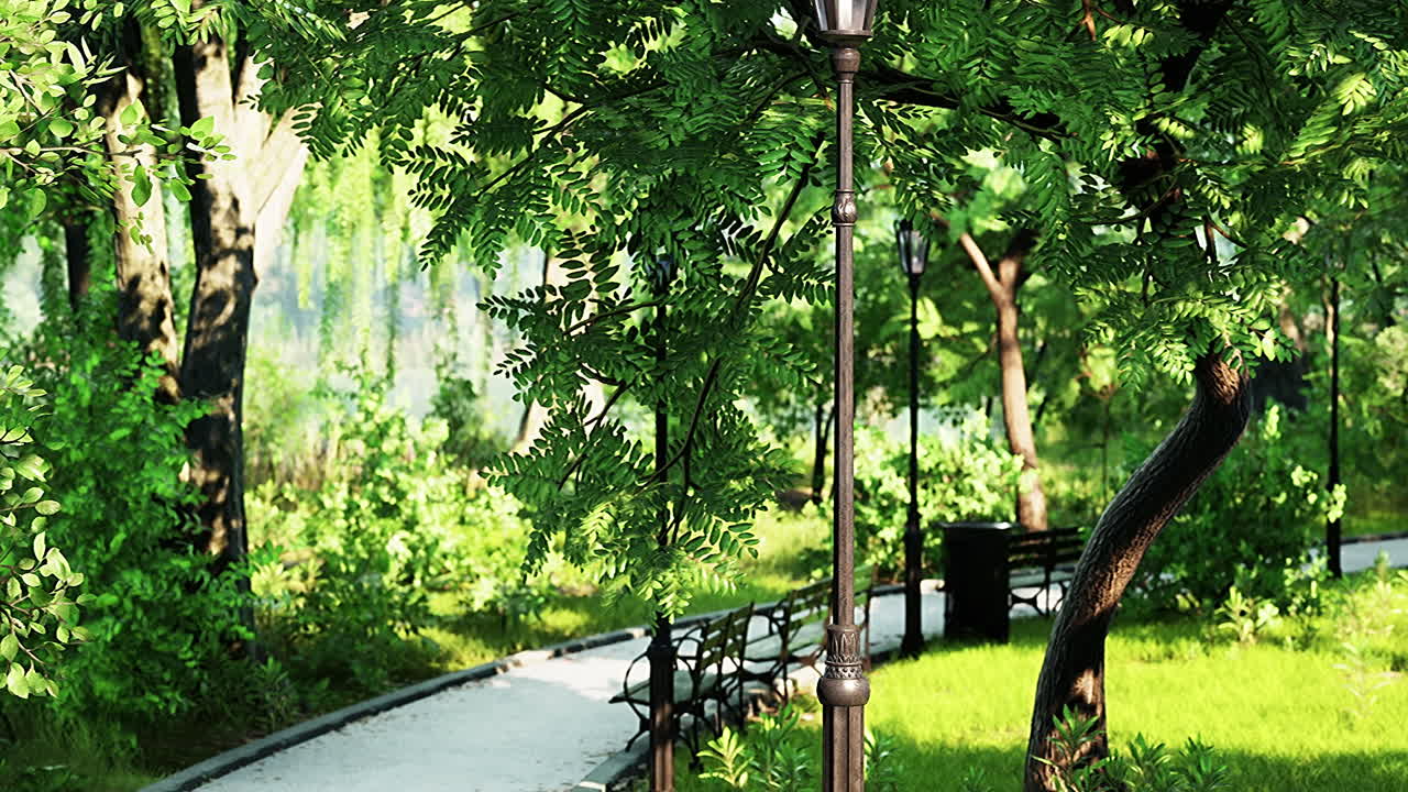 은 낮의 공원 길