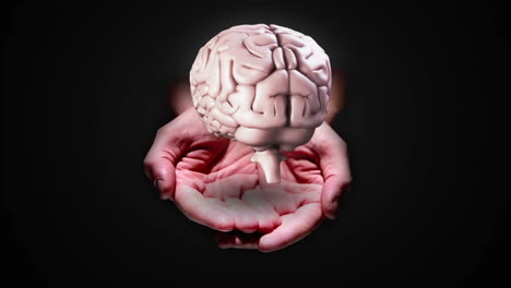 hand presenting a spinning brain