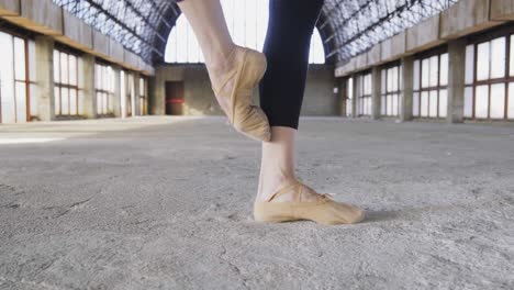 Ballet dancer standing in pose