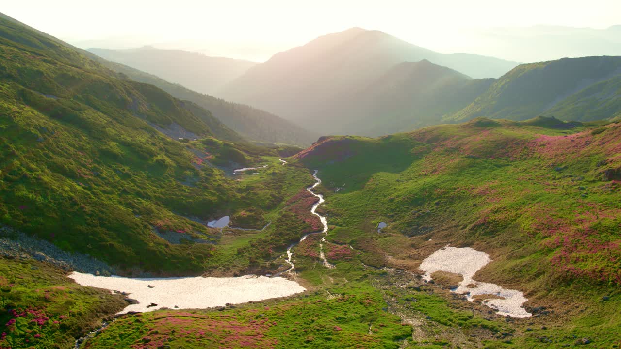 Aerial drone shot descending slowly down a deep, gorgeous mountain valley. Green slopes, patches of pink flowers, remnants of snow surround a thin, winding stream, Rodnei, Lala Mare