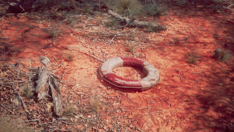 life-ring-buoy-in-desert-beach