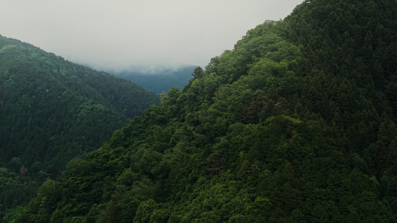 Lush Green Mountains Landscape