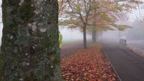 Bauarbeiter-Geht-An-Einem-Sehr-Nebligen-Morgen-Einen-Mit-Herbstlaub-Bedeckten-Fußweg-Entlang