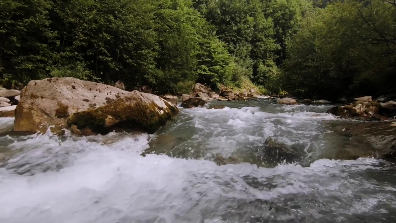 Plano bajo con dolly moviéndose río arriba sobre un arroyo de montaña de corriente rápida con árboles frondosos en el fondo.