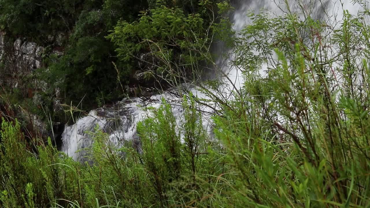 전경에 나무와 풀이 있는 리스본 폭포 중간쯤에 있는 물을 보여주는 느린 패닝 샷
