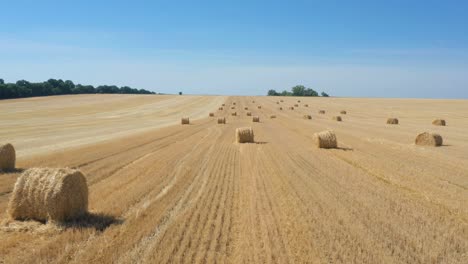 balas redondas en el campo vista aérea