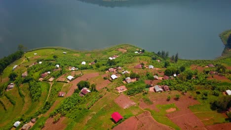 aerial orbit reveals a patchwork of terraced farmland, scattered tin-roofed homes, and cultivated green plots descending toward the shore of lake bunyonyi in southwestern uganda