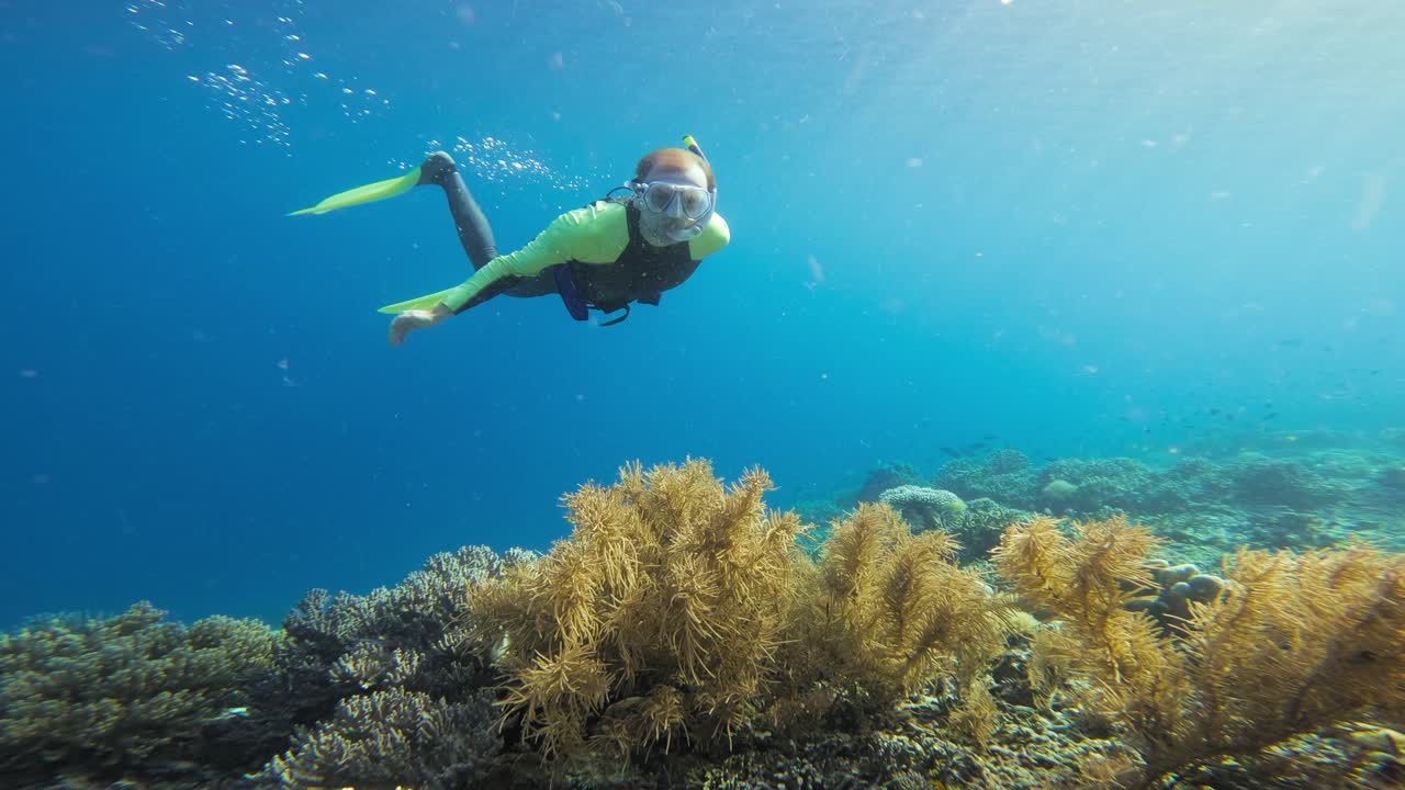 A professional freediver in a full body swims gracefully above a vibrant coral reef in the clear waters of Raja Ampat, Indonesia. The static shot captures the snorkeler and the soft corals below.