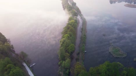 aerial view of a trail between trees in the middle of the lake