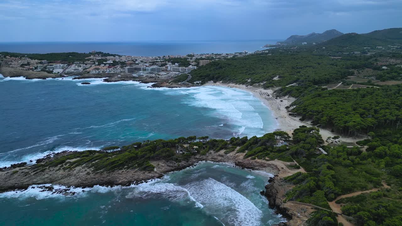 Panoramic drone shot of Cala Agulla. It captures the stark contrast between the choppy sea, the expansive beaches, the dense pine forest, and the Majorca resort hotels