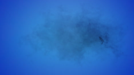 animation of cloud of grey smoke appearing and disappearing on blue background