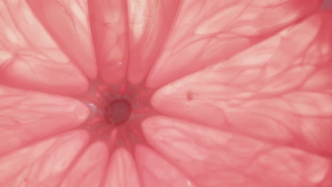 micro vídeo de primer plano de una rebanada de pomelo rojo con espacio de copia
