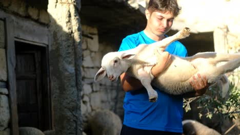 shepherd looking after lamb