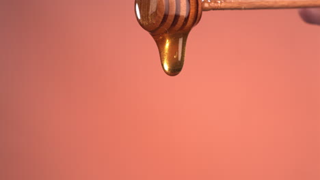 super slow motion cu honey pouring from honey stick against bright background