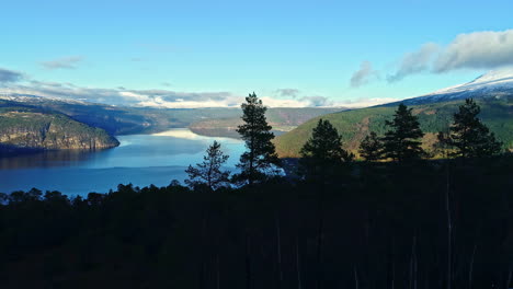 Aerial-drone-view-of-Norwegian-landscape-with-fjord-and-green-coastline-in-Norway