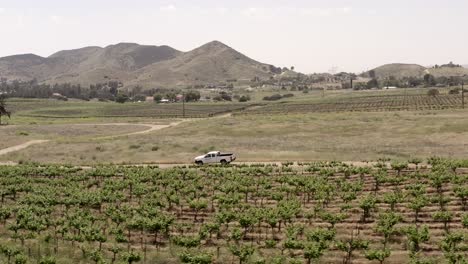 aerial tracking, white pick up truck driving down dusty road, vineyards wineries