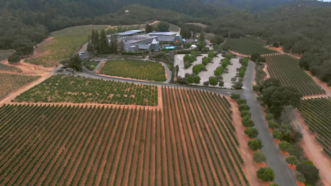 Aerial forward flight toward resort complex with pyramid roofs, pool, and surrounding vineyards