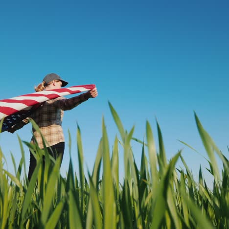 the wind swayes the us flag