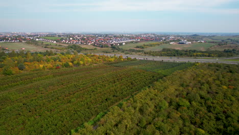 Einrichtung-Von-Staszyn-reihen-Aus-Der-Luftaufnahme-Von-Weinreben-In-Der-Danziger-Landschaft