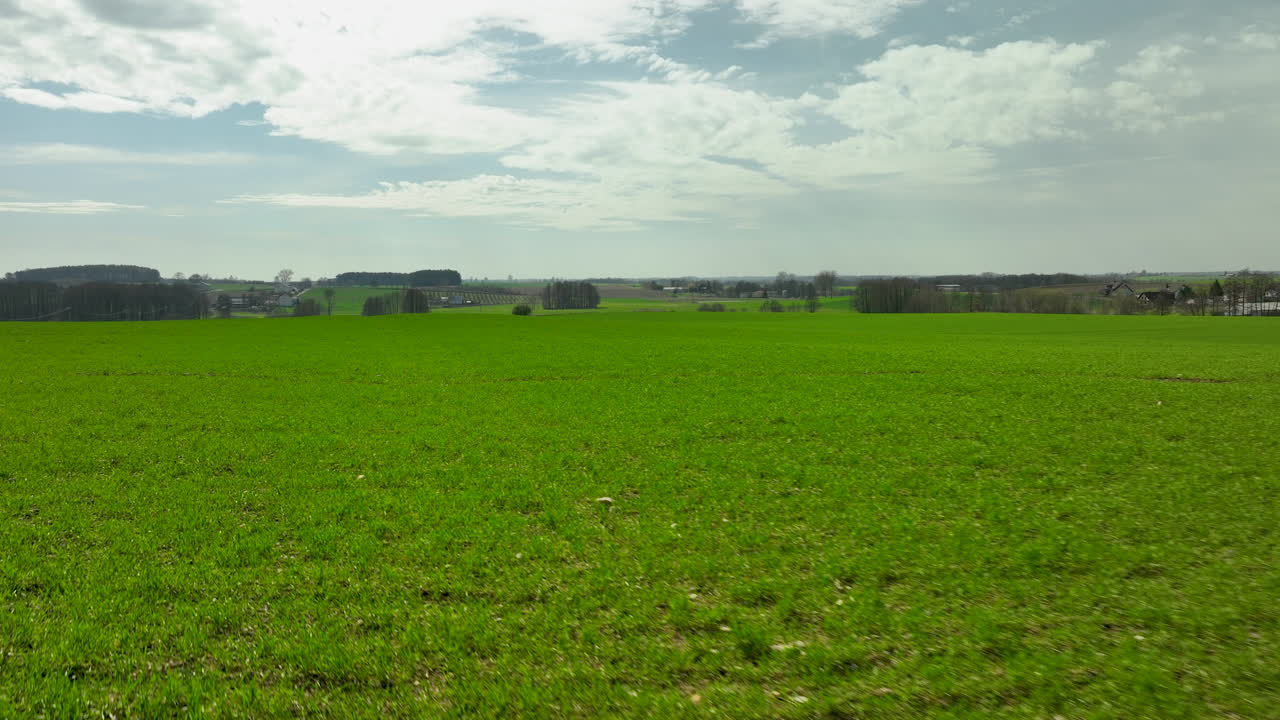 Plano de drone em ângulo baixo de campo verde com paisagem de nuvens durante o dia