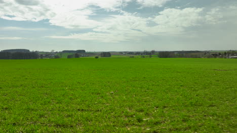 toma de drone de ángulo bajo de campo verde con paisaje nublado durante el día