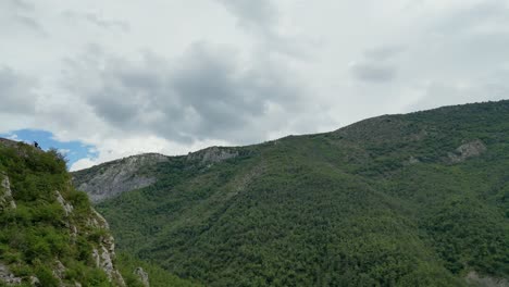 high-altitude view of a tranquil french mountain region, dotted with trees and wildflowers.