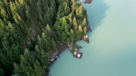 aerial pan of coastal pine trees and water, squamish, bc, canada