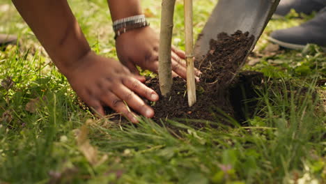 Voluntarios-Llenando-Agujeros-Después-De-Plantar-árboles-Alrededor-Del-Bosque.