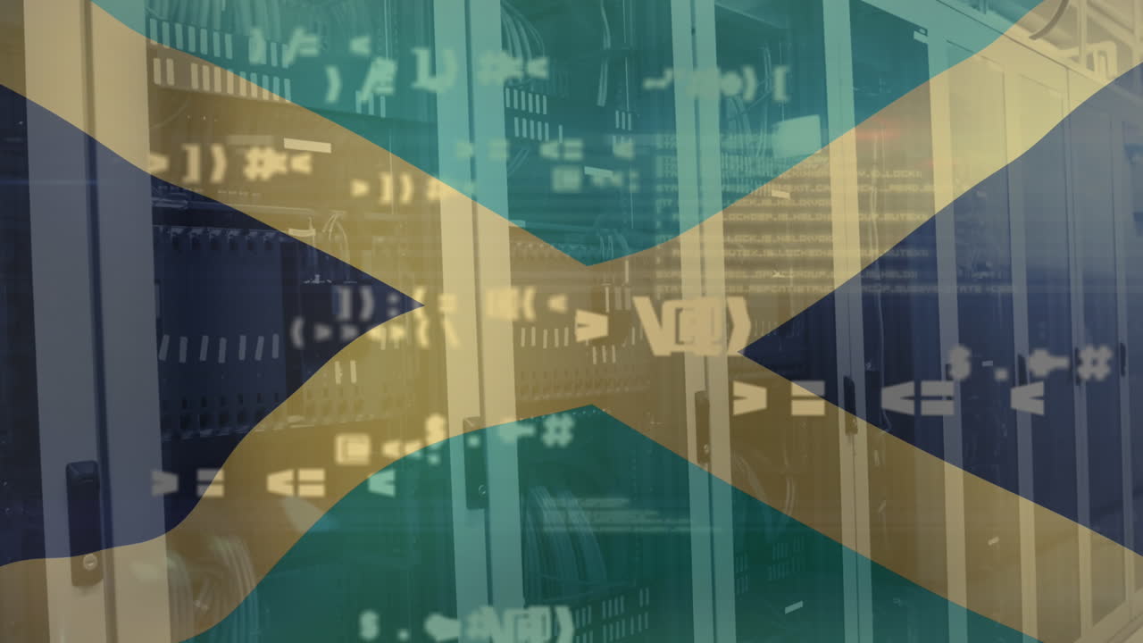 다중 기호와 자메이카 발의 애니메이션 서버