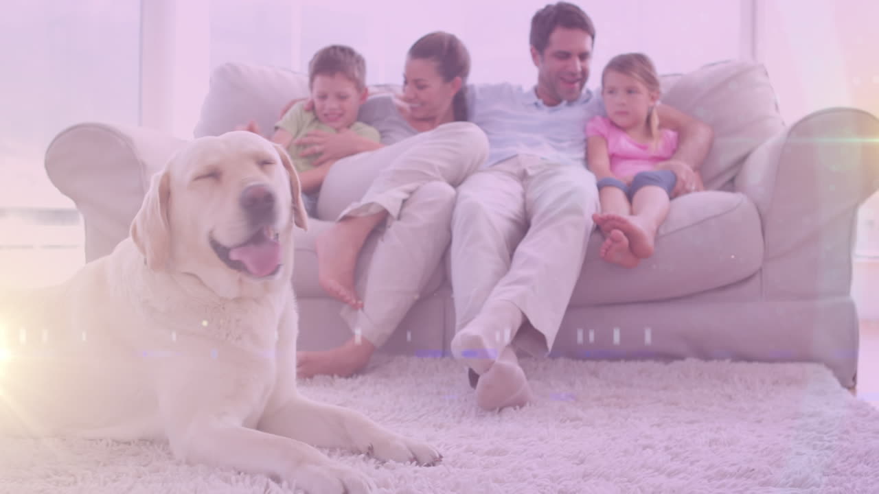 집에서 백인 가족과 그들의 개에 대한 빛의 반점