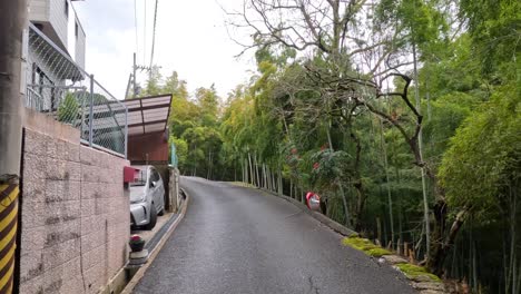 a scenic drive along a tranquil bamboo forest road