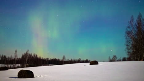 paisaje invernal con hermoso cielo estrellado en la noche