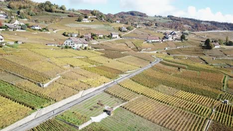 Vista-De-Drones-De-Los-Viñedos-De-Lavaux-Junto-A-La-Orilla-Del-Lago-Leman,-Carretera-Con-Ciclistas-En-Los-Viñedos,-Suiza