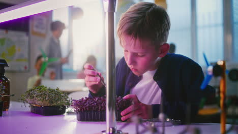 boy conducting a science experiment with plants in a classroom