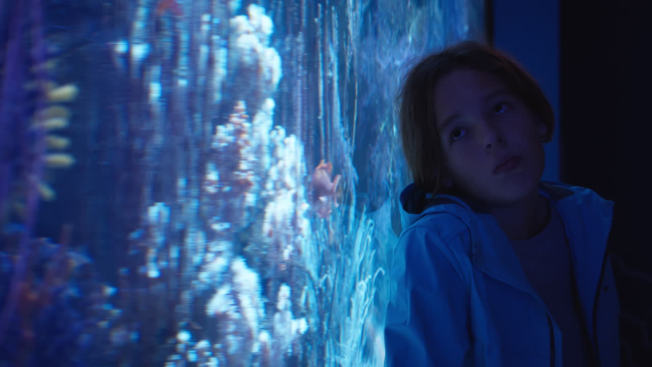 niño adolescente viendo el acuario en el oceanario
