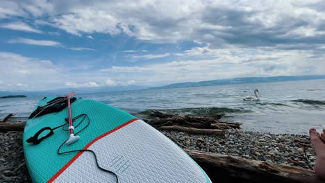 Stand-up-paddle-in-front-of-big-Lake-in-Germany,-Bodensee