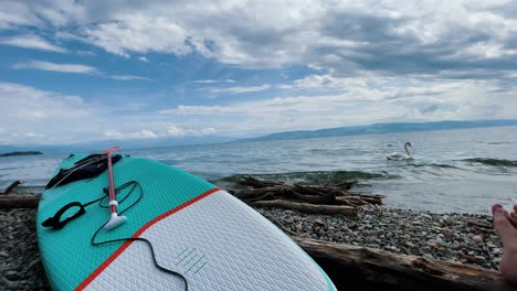 stand up paddle frente al gran lago en alemania, bodensee