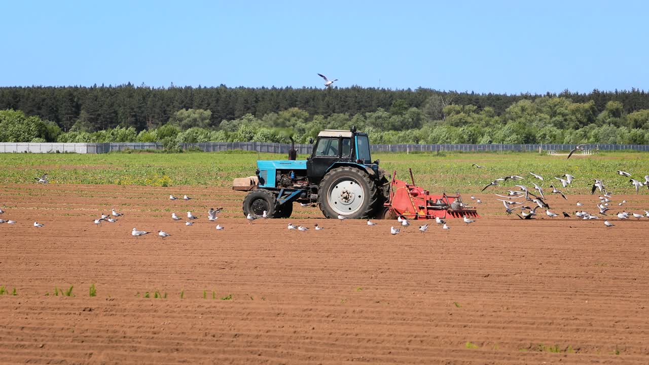농부 는 곡물 을 뿌린다.  ⁇ 주린 새 들 은 트랙터 뒤 에 날아가서 경작지 에서 곡물 을 먹는다.
