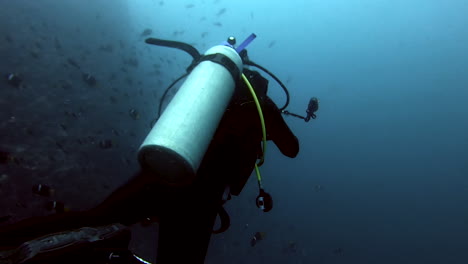 disparo acuático de un buzo explorando